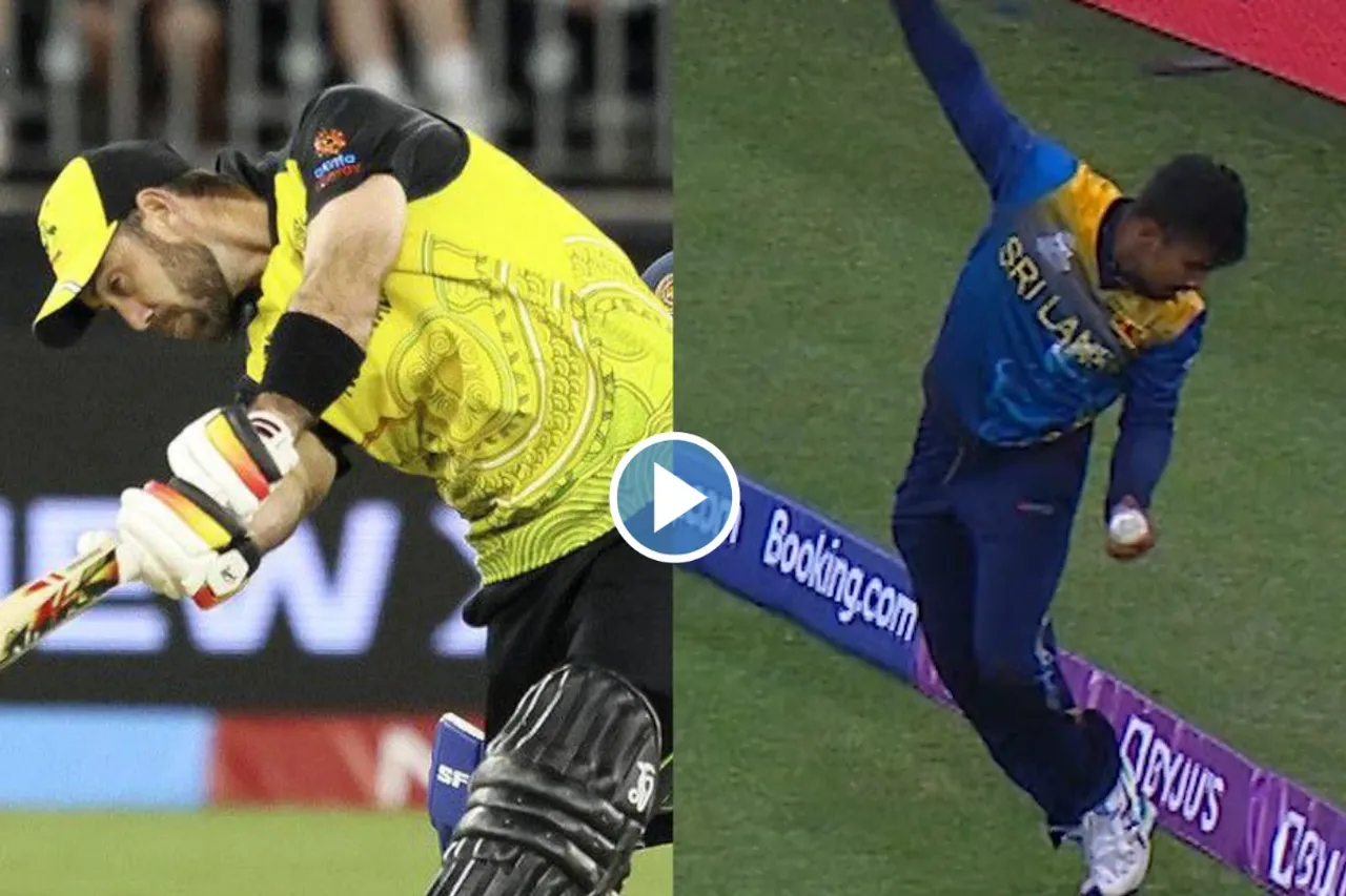 Cricket Viral Video
