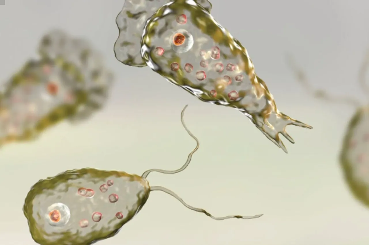 Naegleria fowleri
