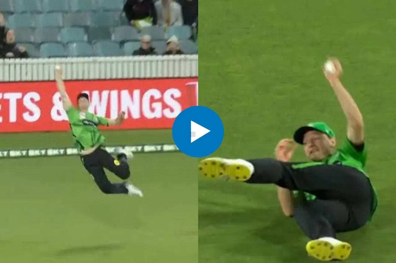 Cricket Viral Video