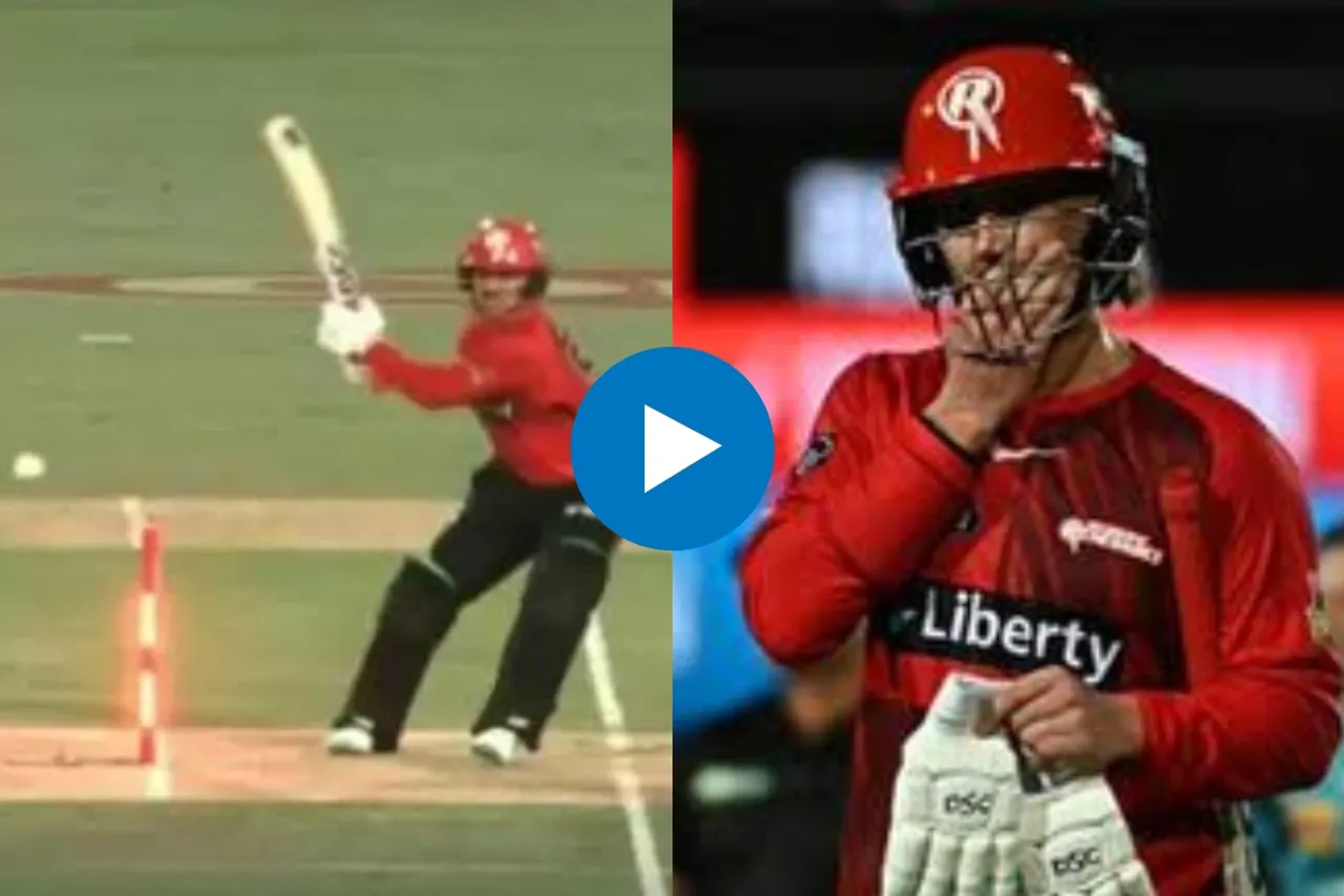 Cricket Viral Video