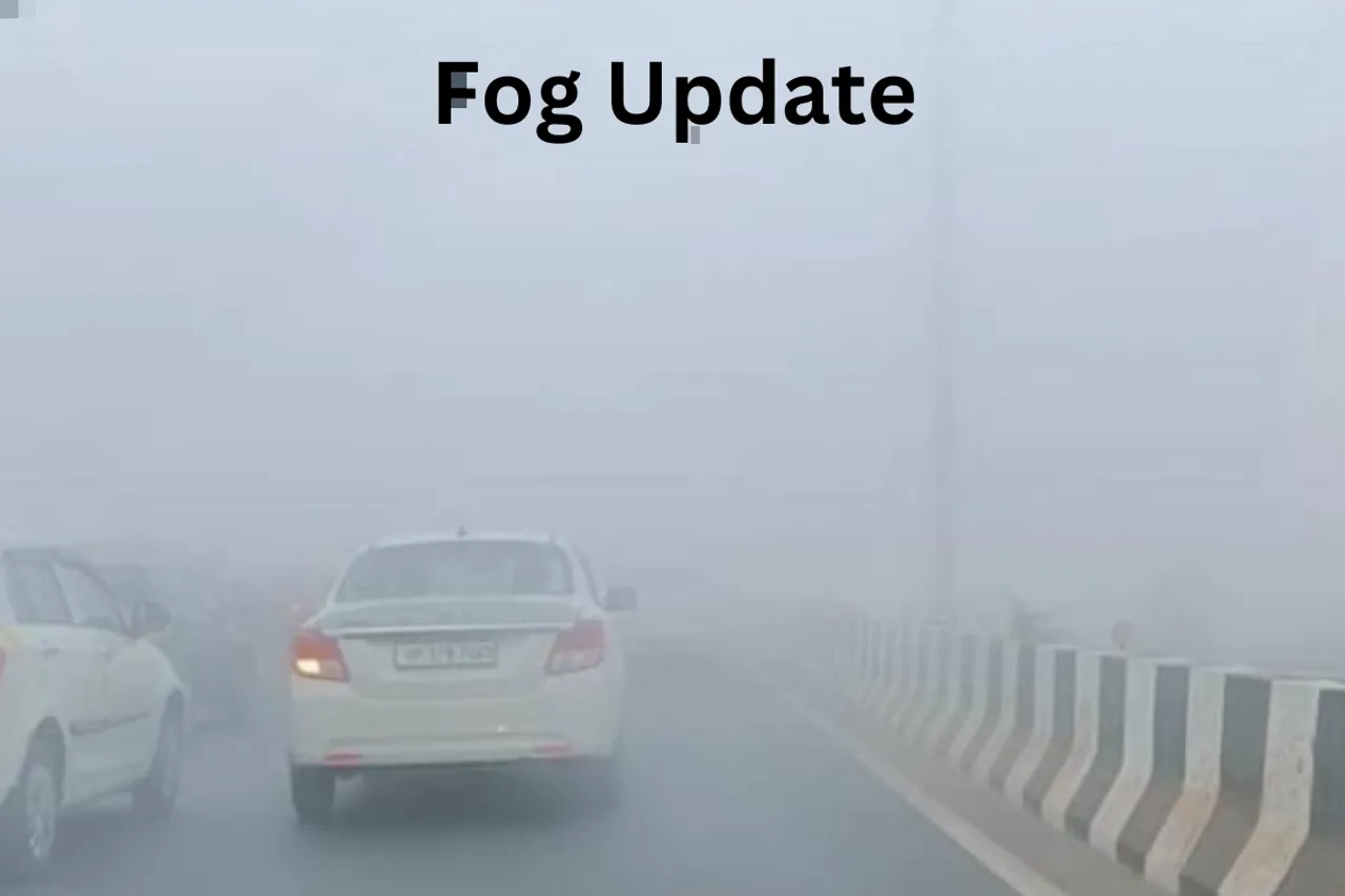 Fog Update