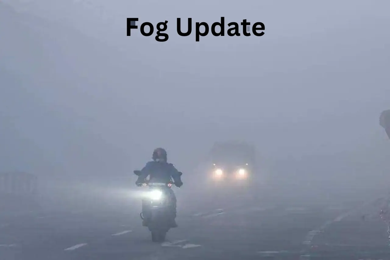 Fog Update