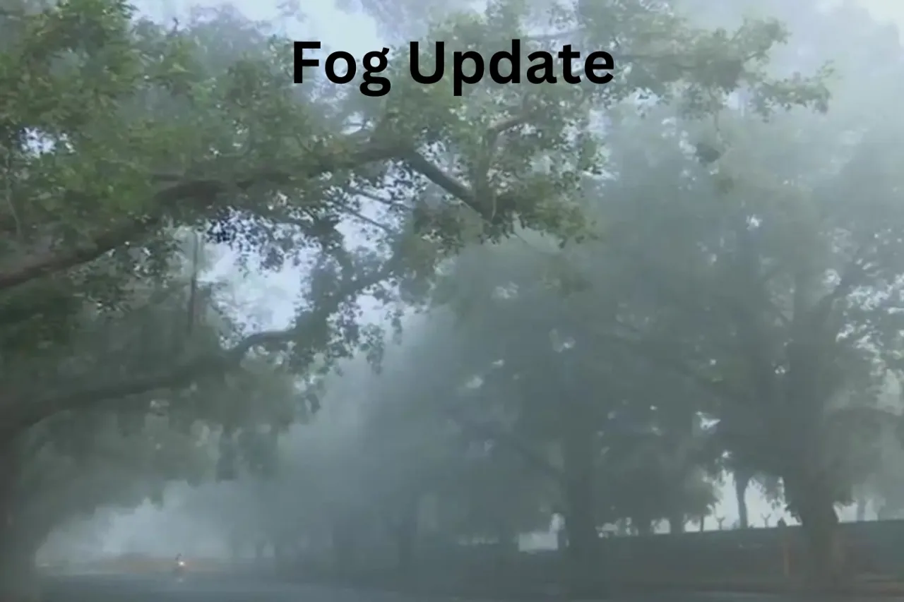 Fog Update