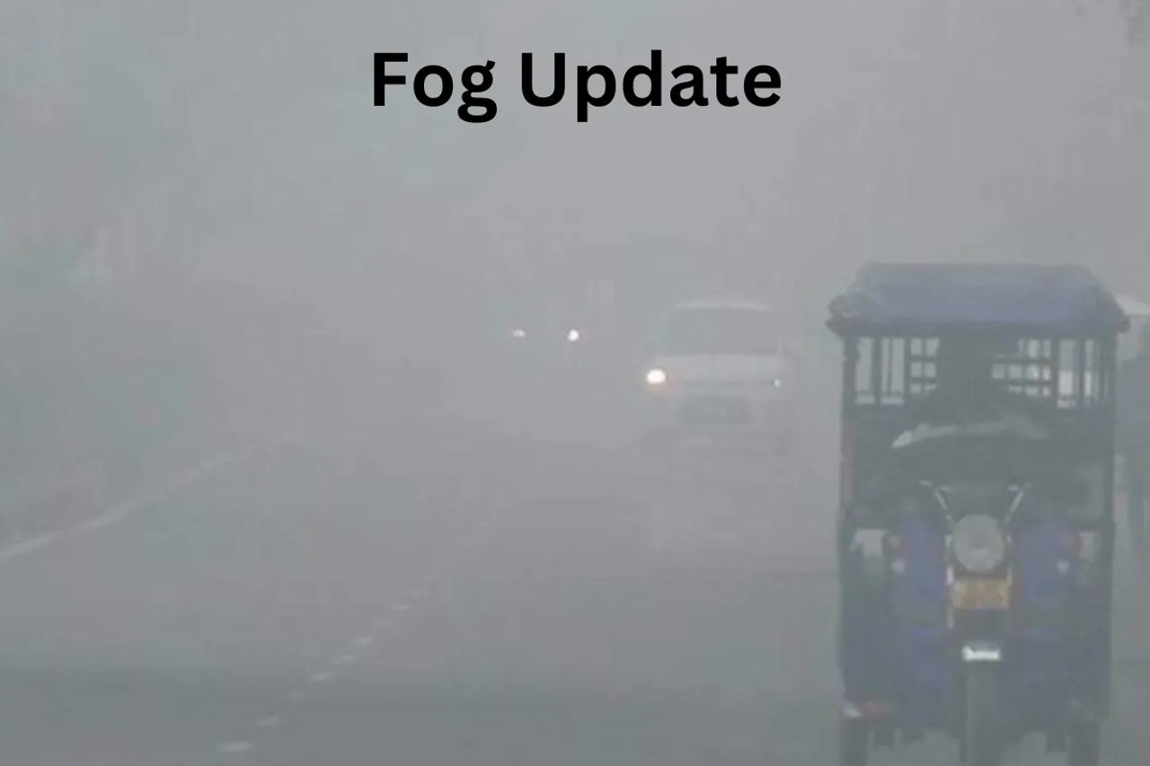 Fog Update