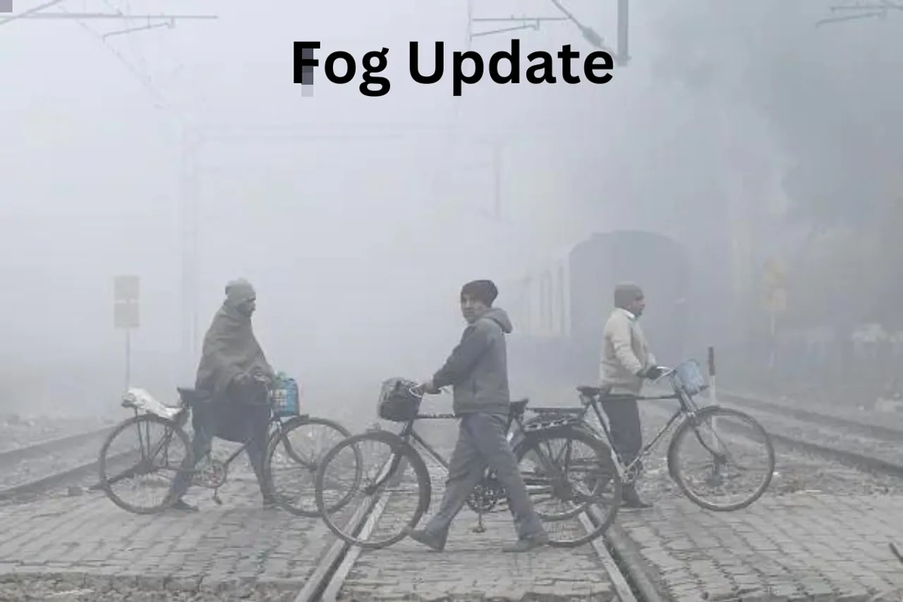 Fog Update