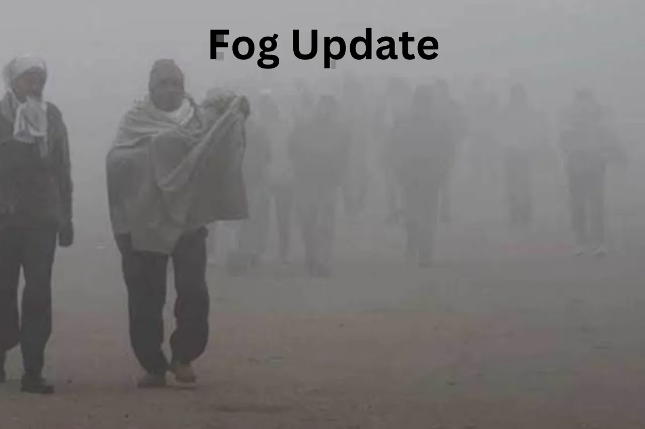 Fog Update