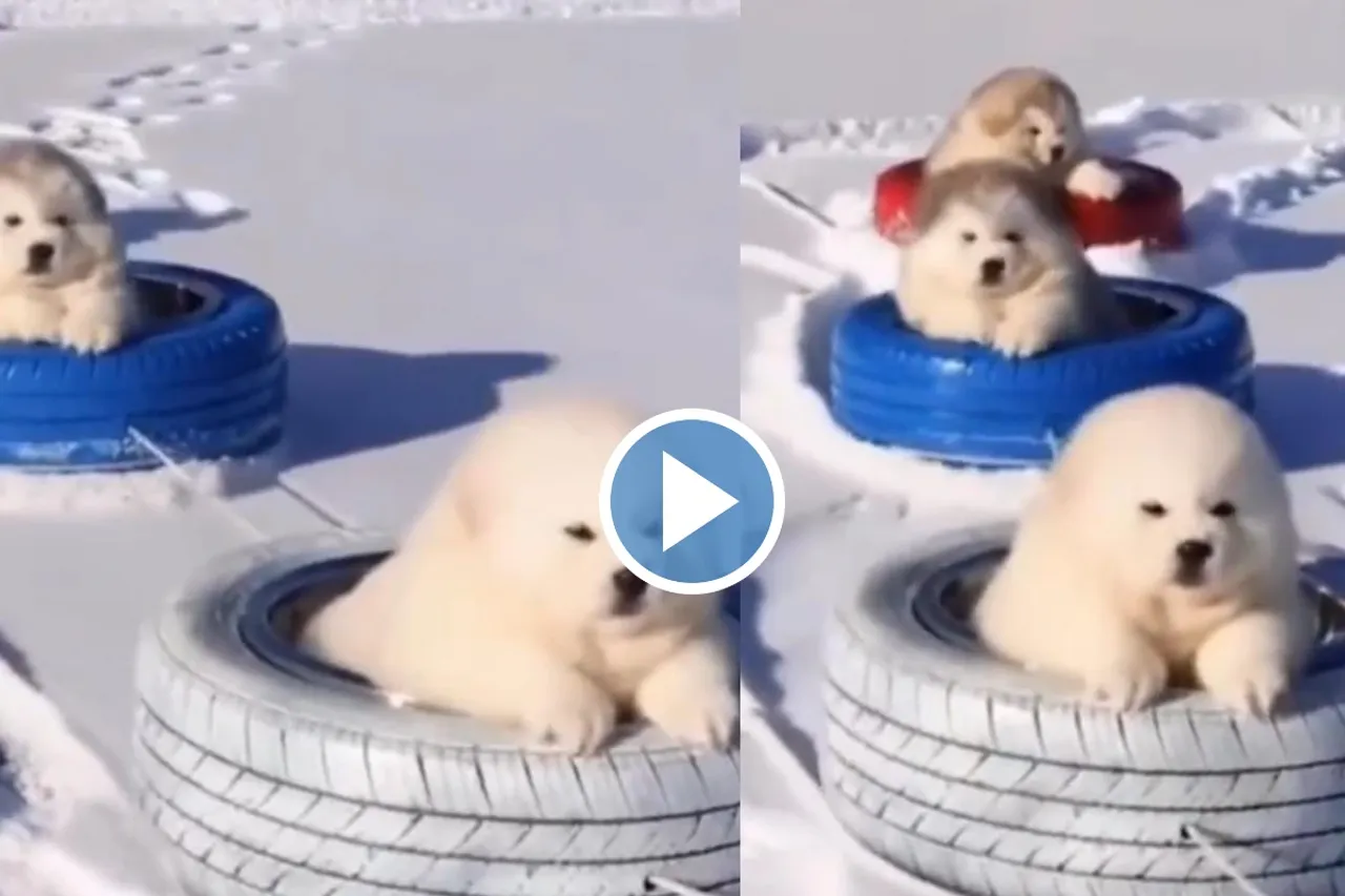 Viral video