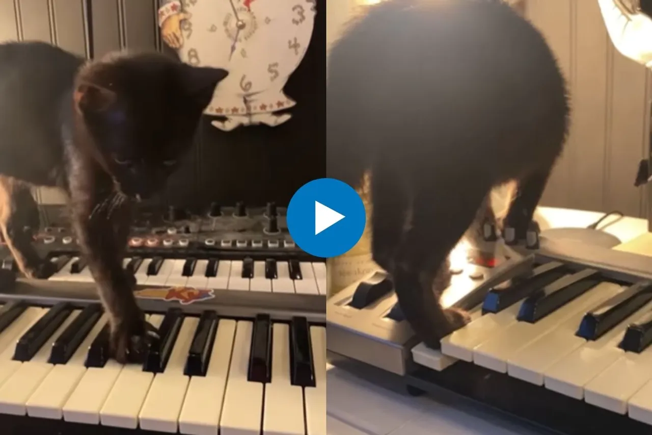 Viral Video