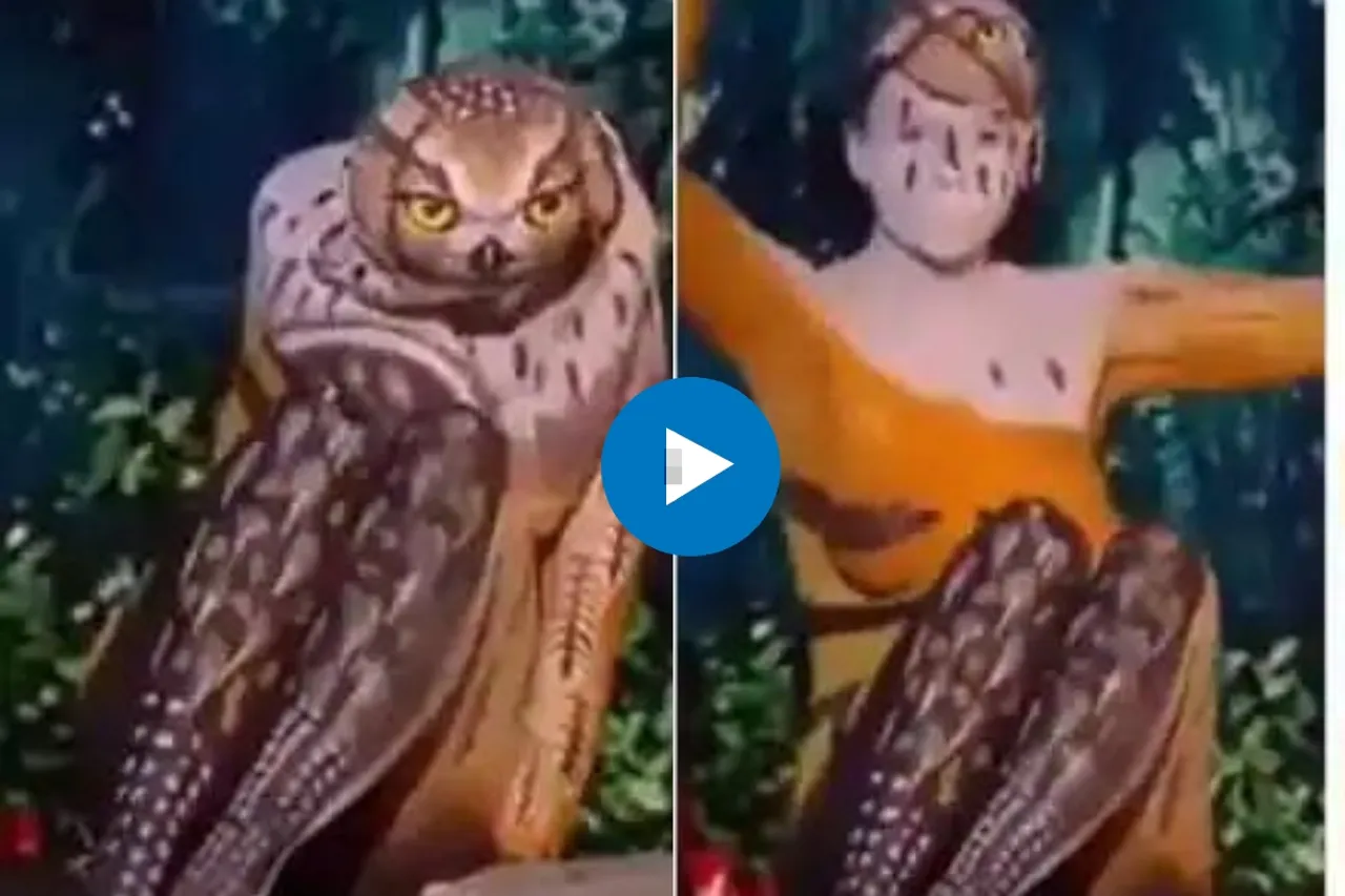 Viral Video