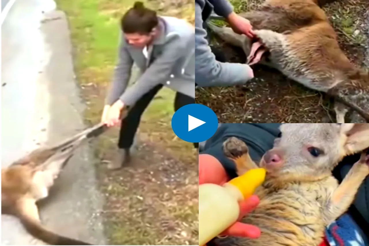Viral Video
