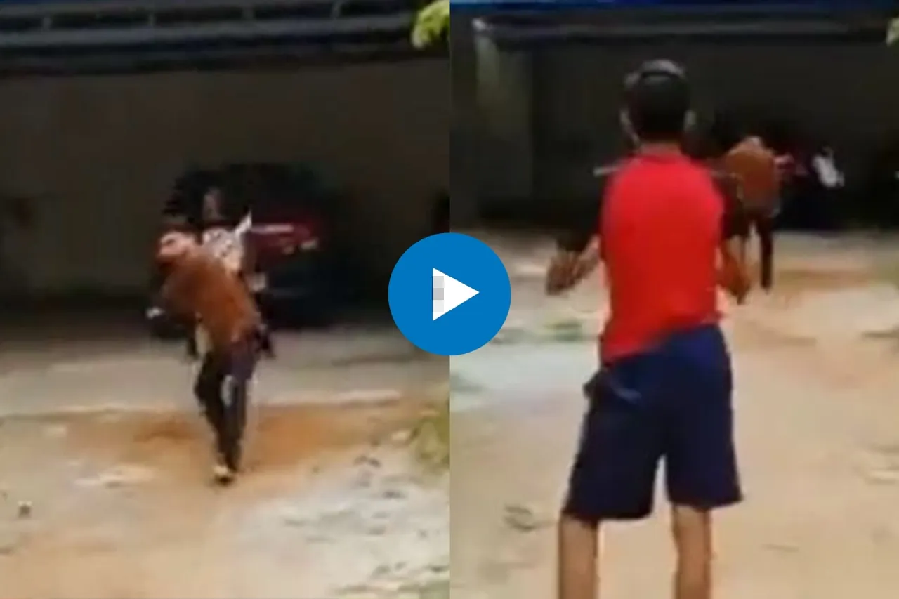 Viral Video