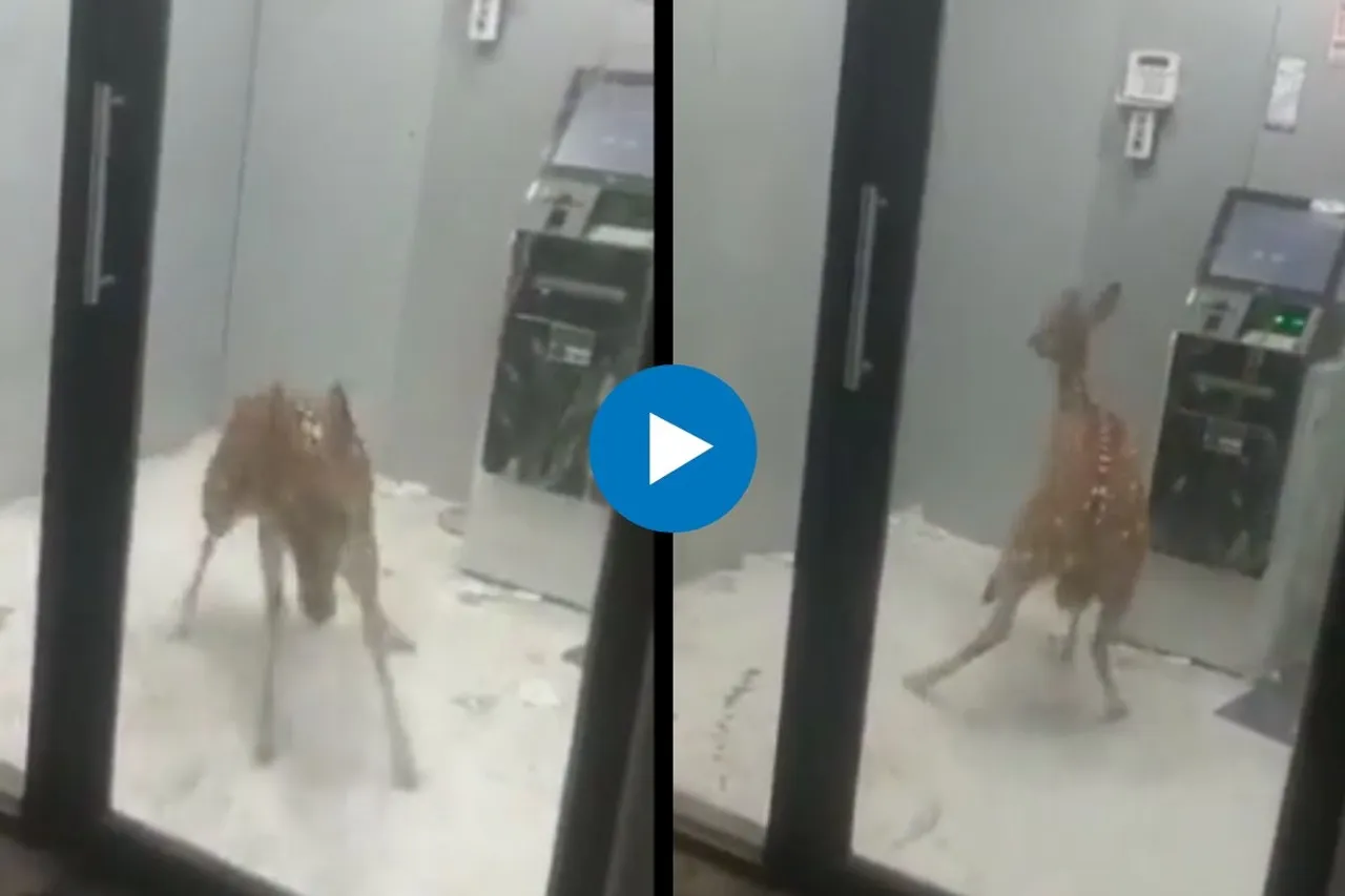 Viral video
