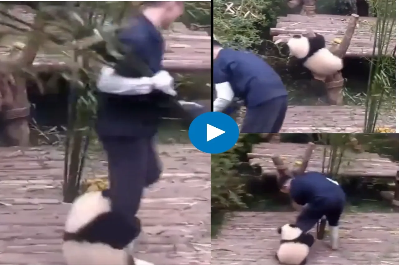 Viral Video