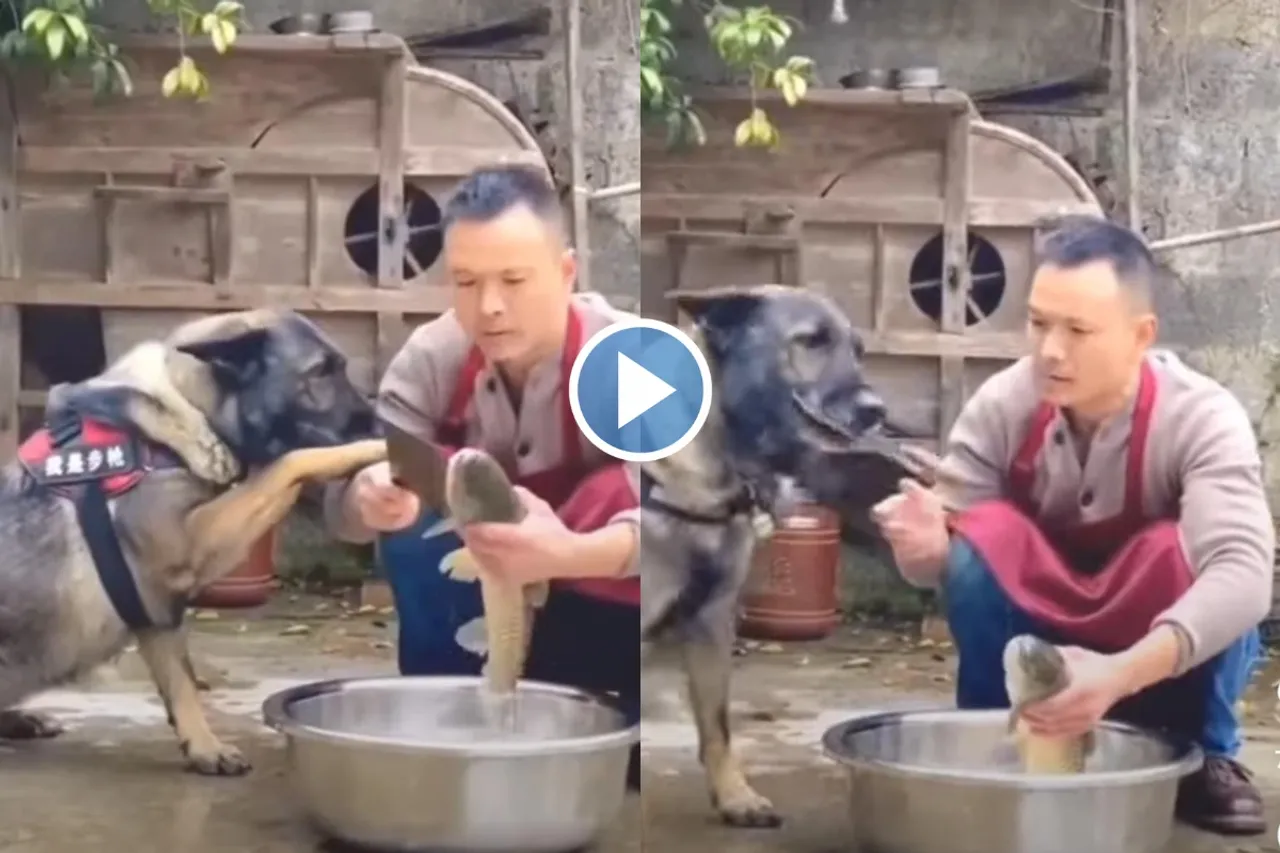 Viral video