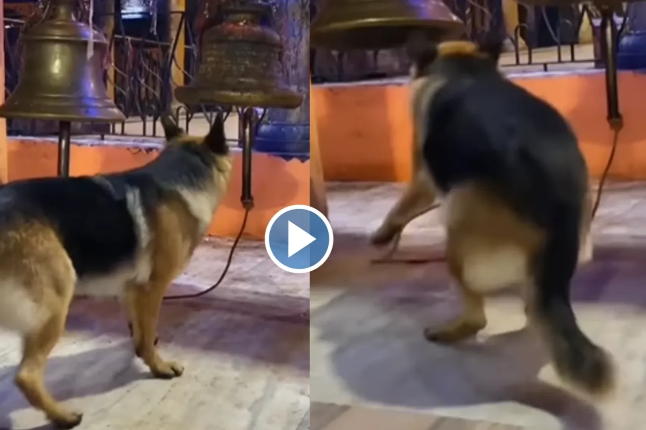 Viral video