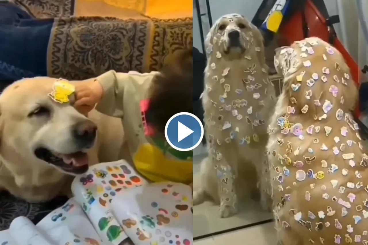Viral video