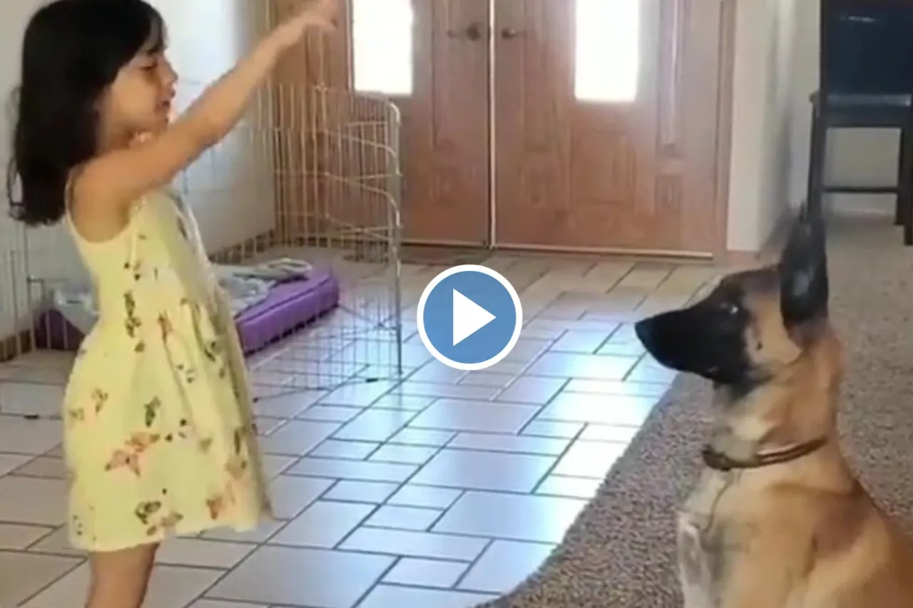 Viral video