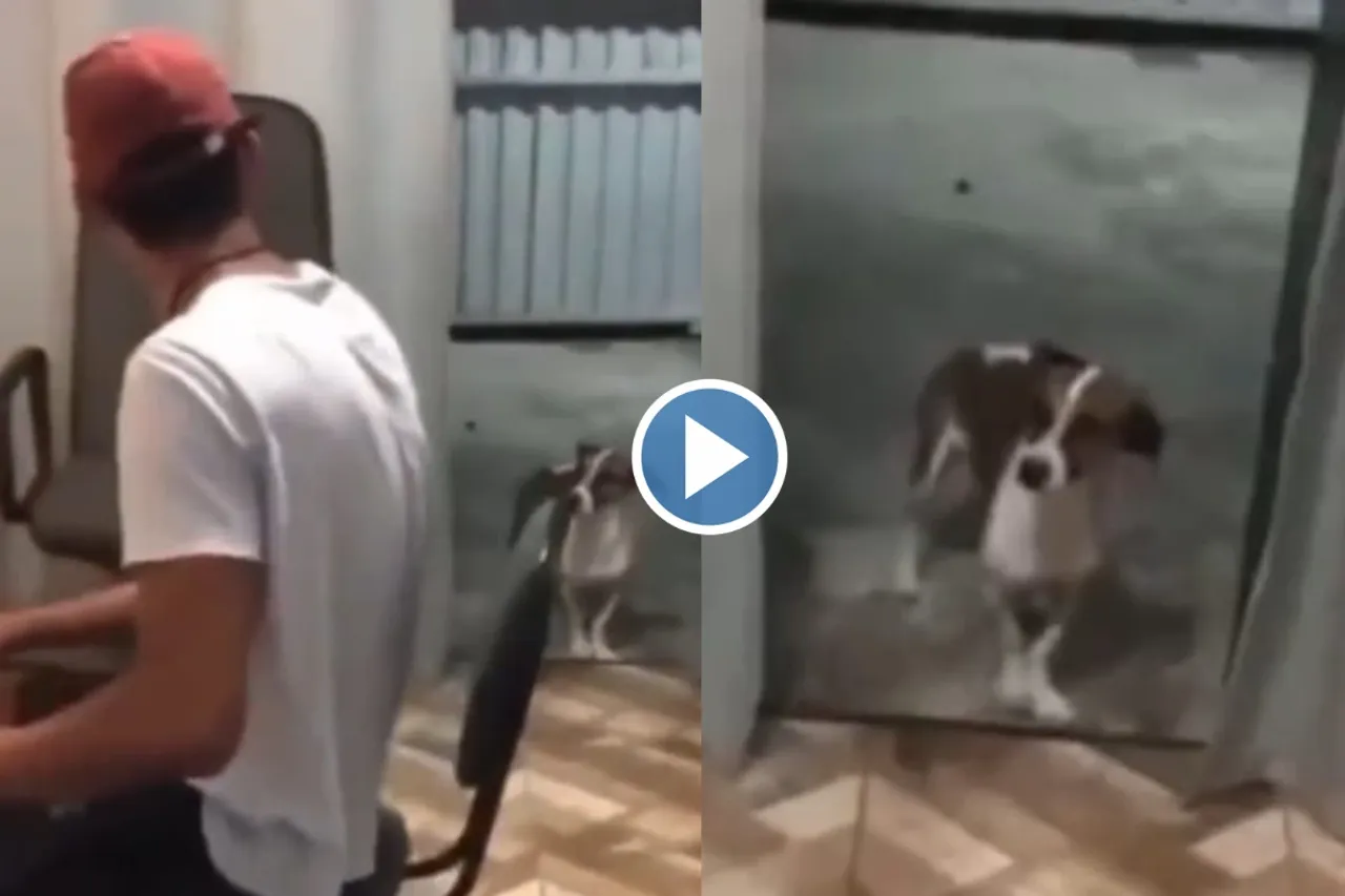 Viral video