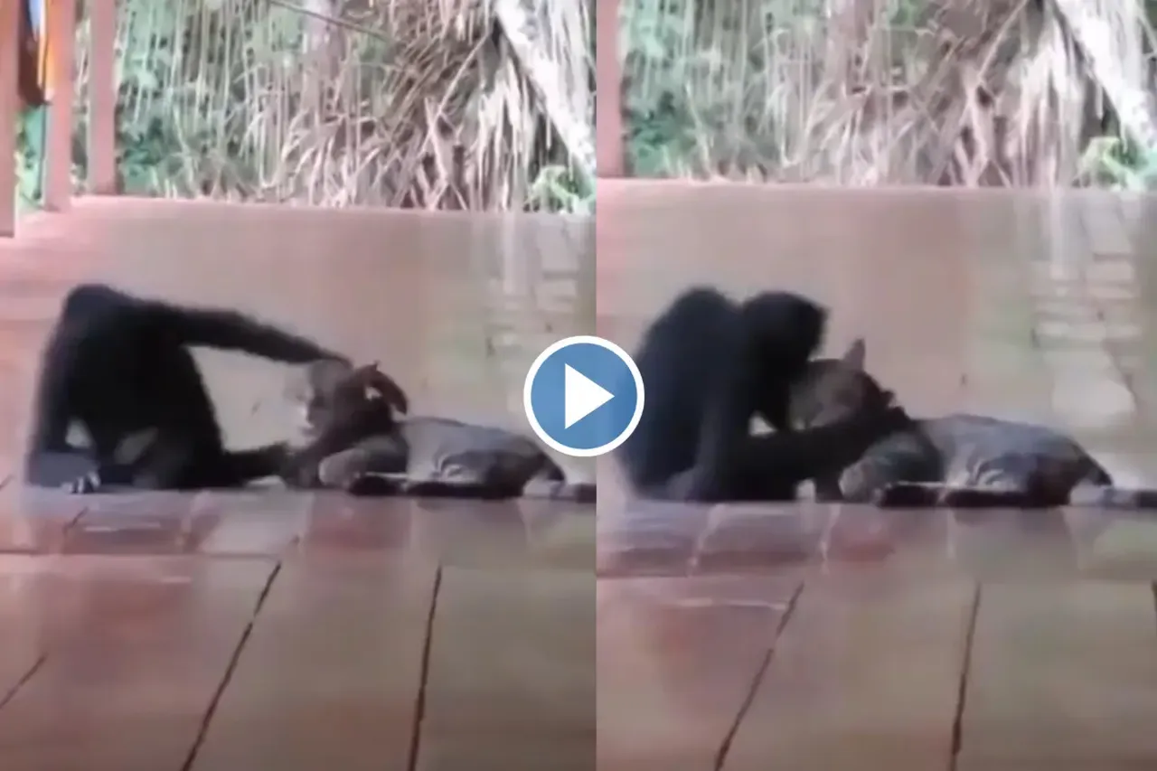Viral video