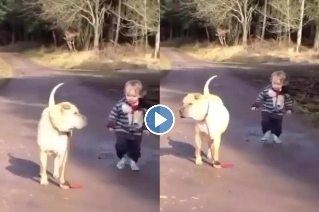 Viral video
