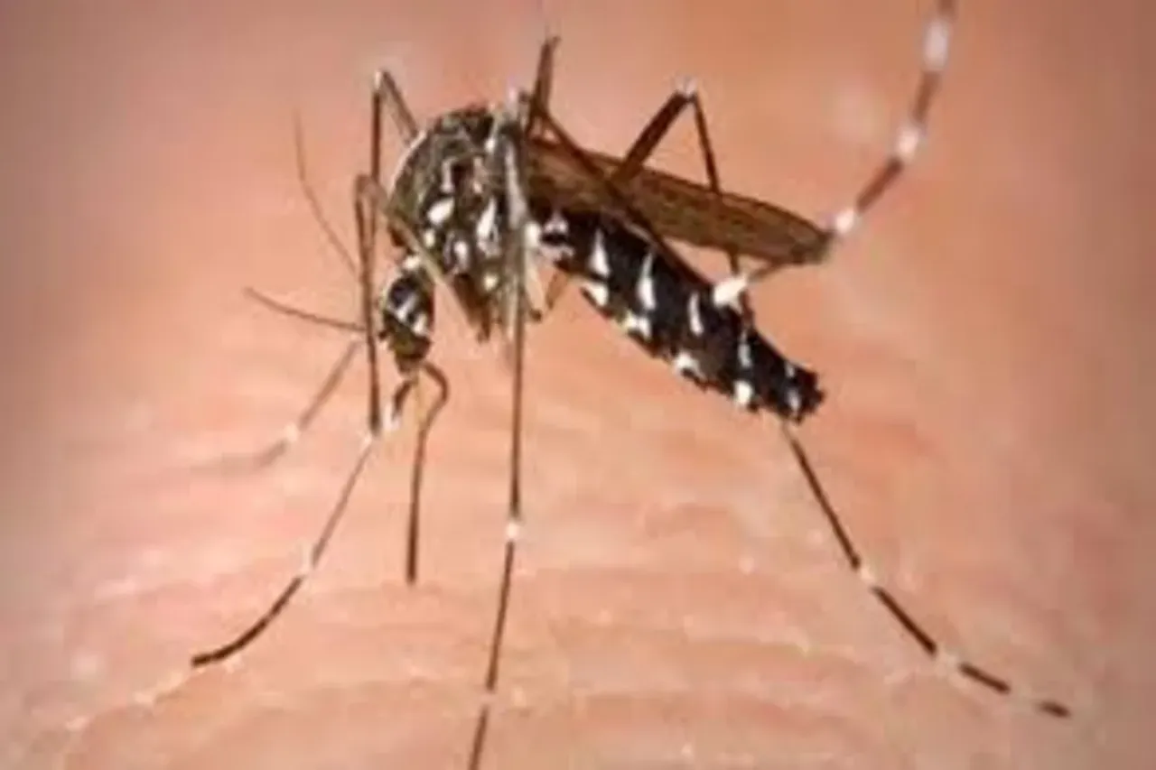 Karnataka Zika Virus