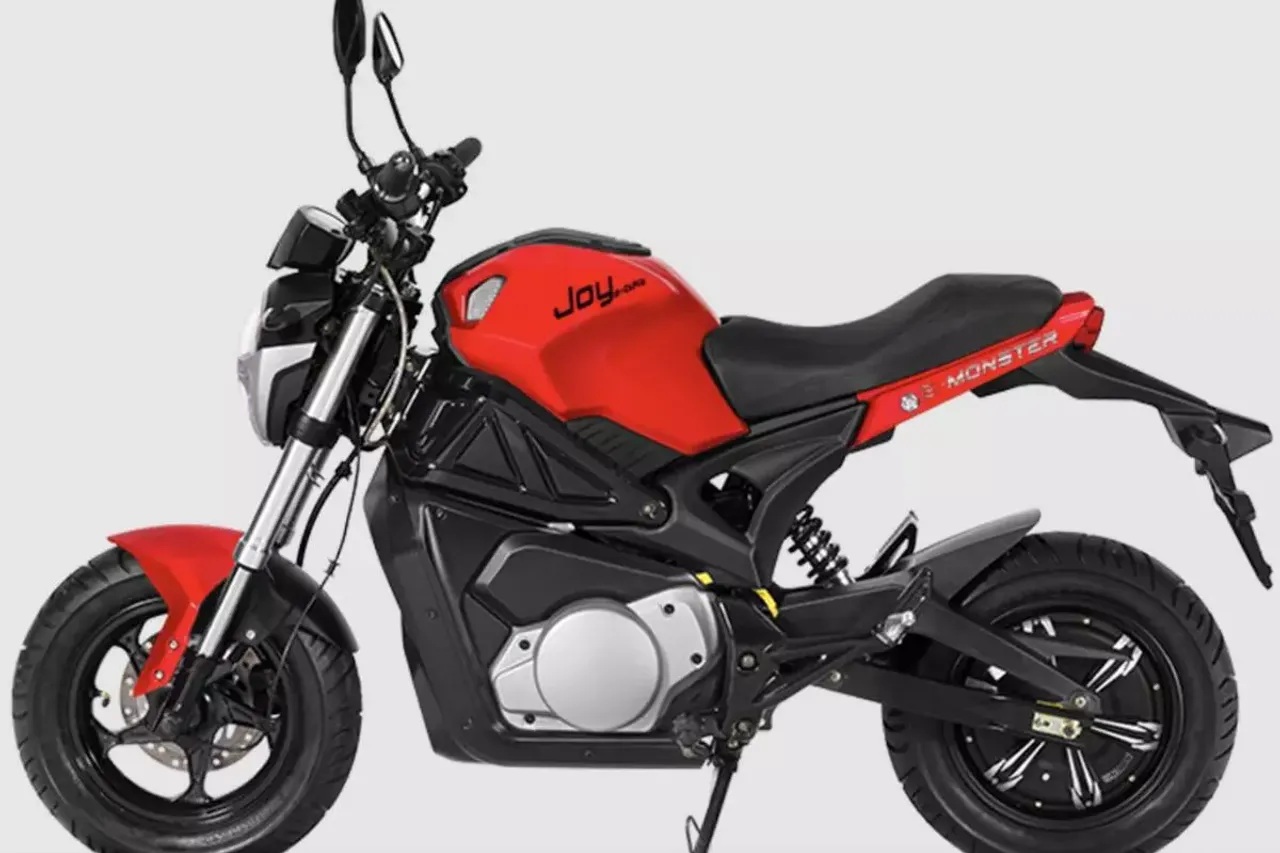 Joy e-bike Monster