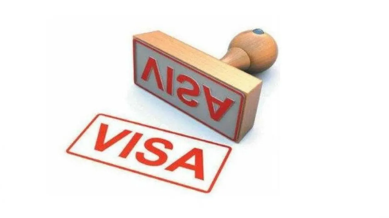 E-visa