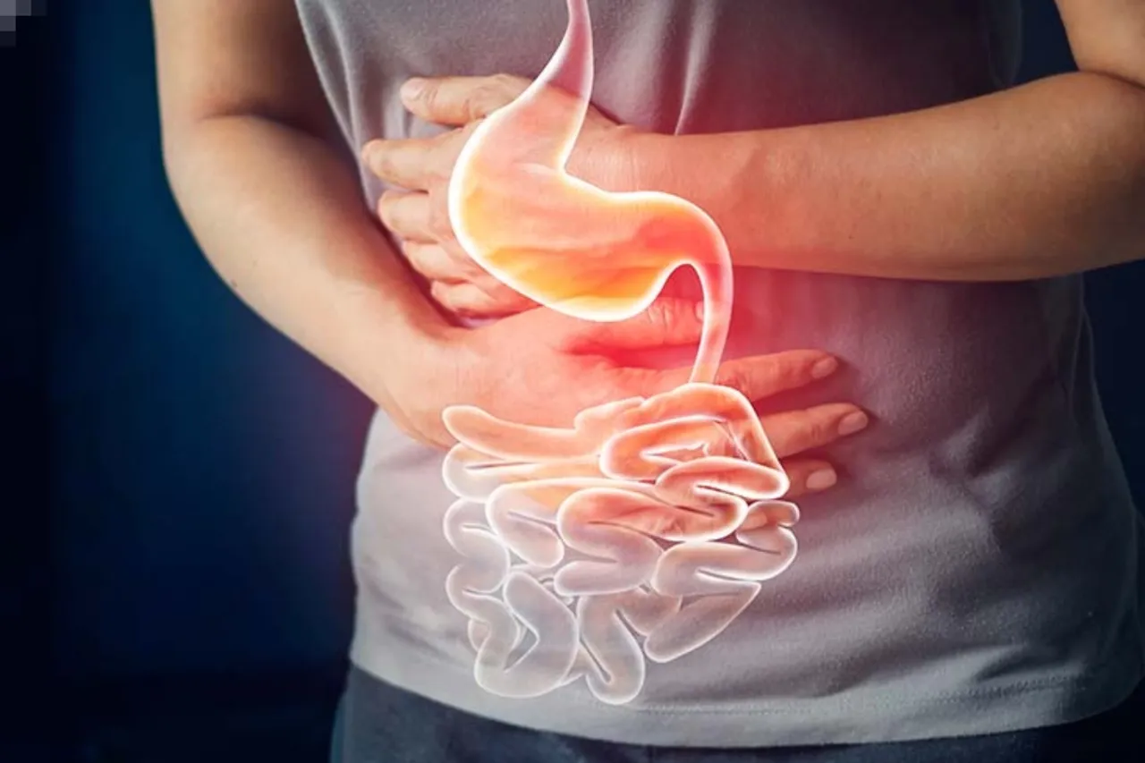 Digestion