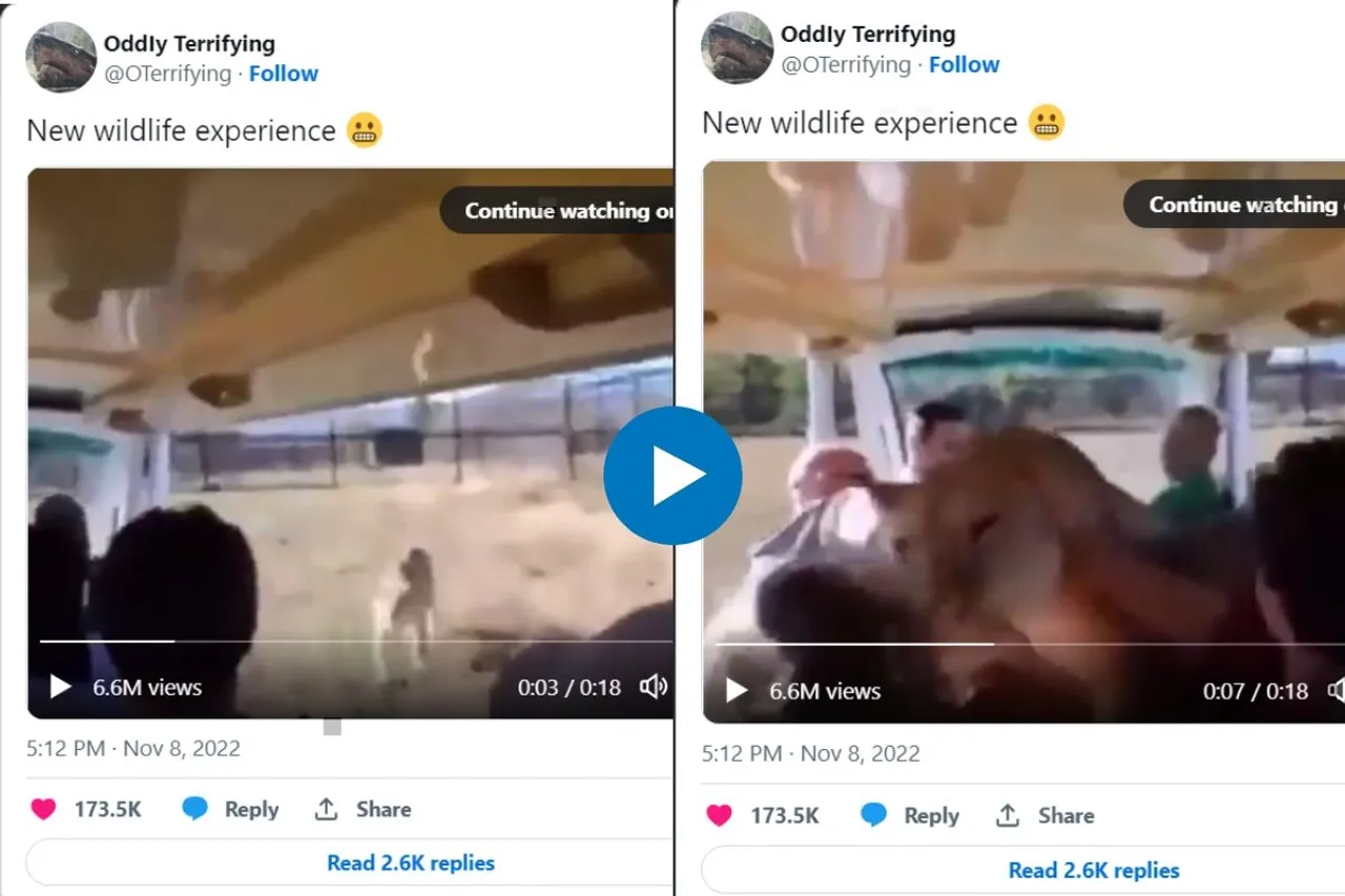 Viral video