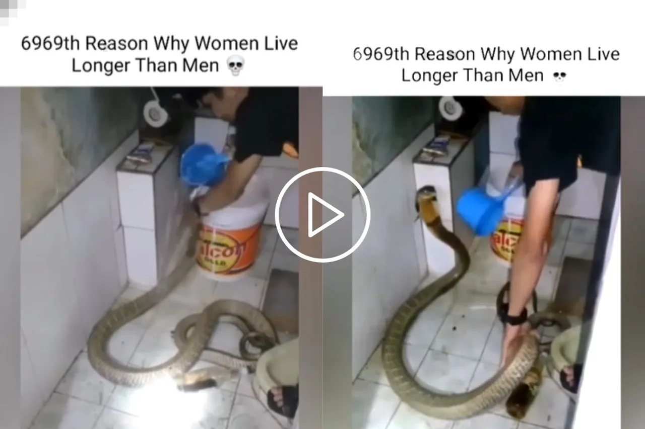 Viral Video