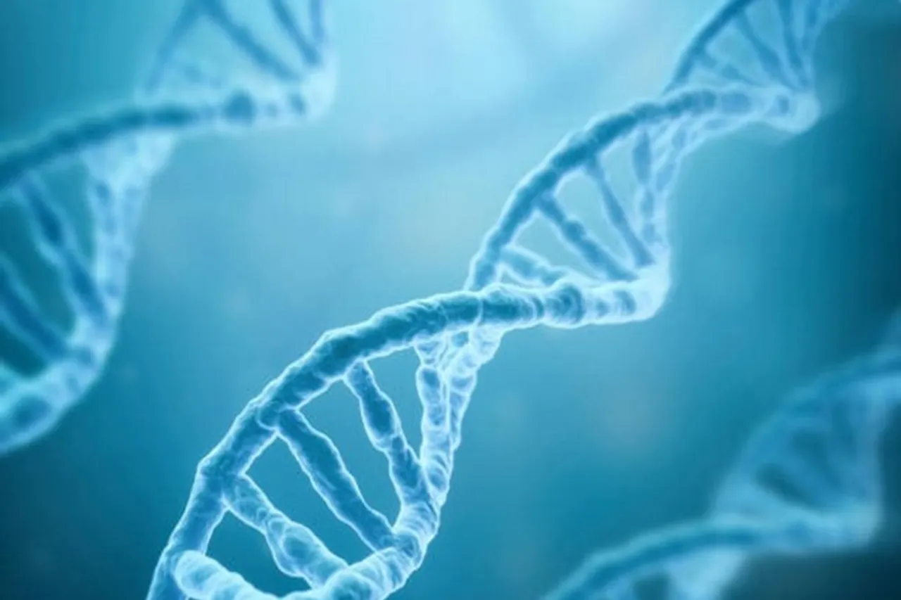 Imbalanced genes