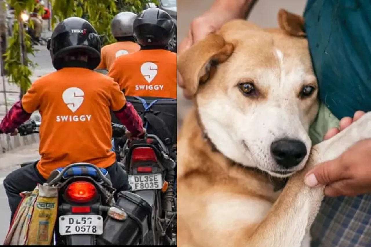 Dogs and Cats Are Not Human