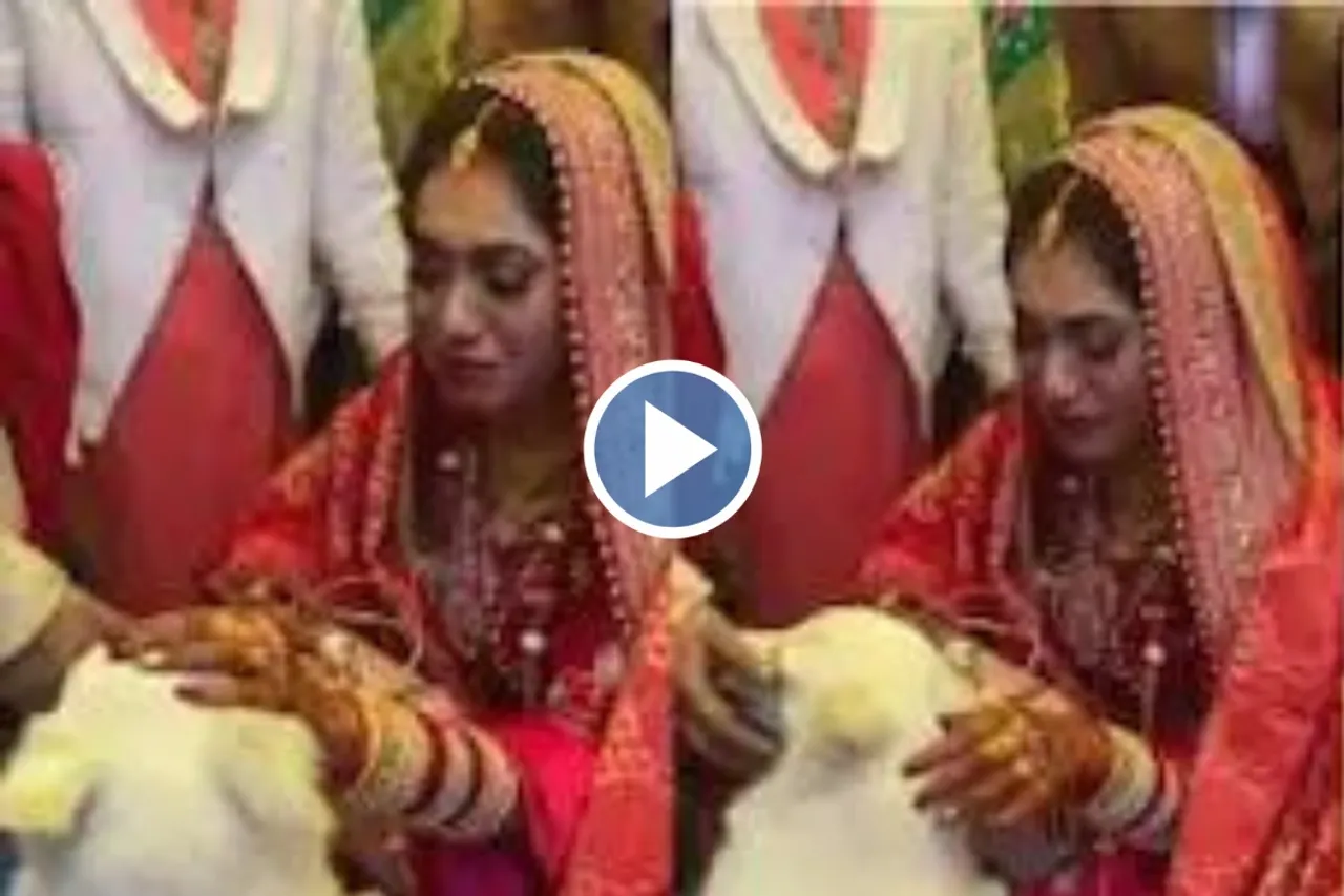 Bride Groom viral video