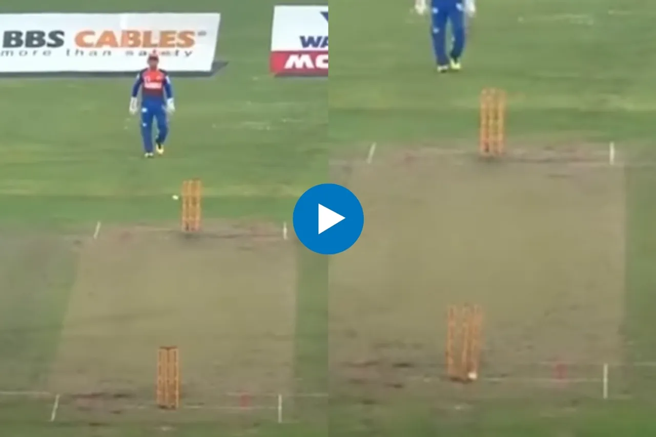 Cricket Viral Video