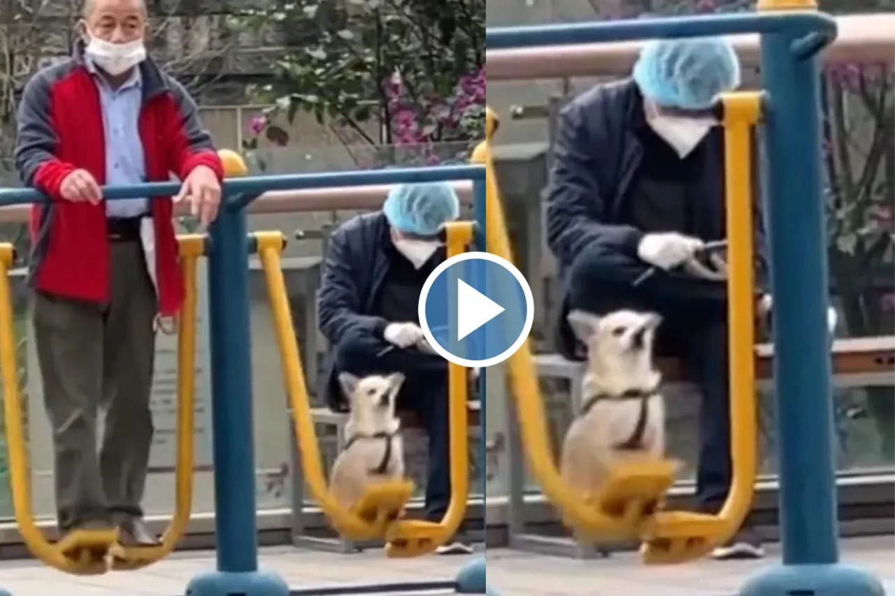 Viral video