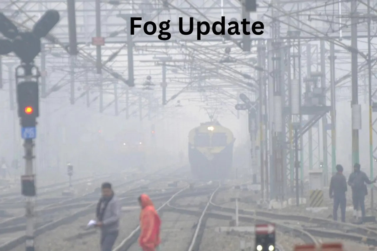 Fog Update