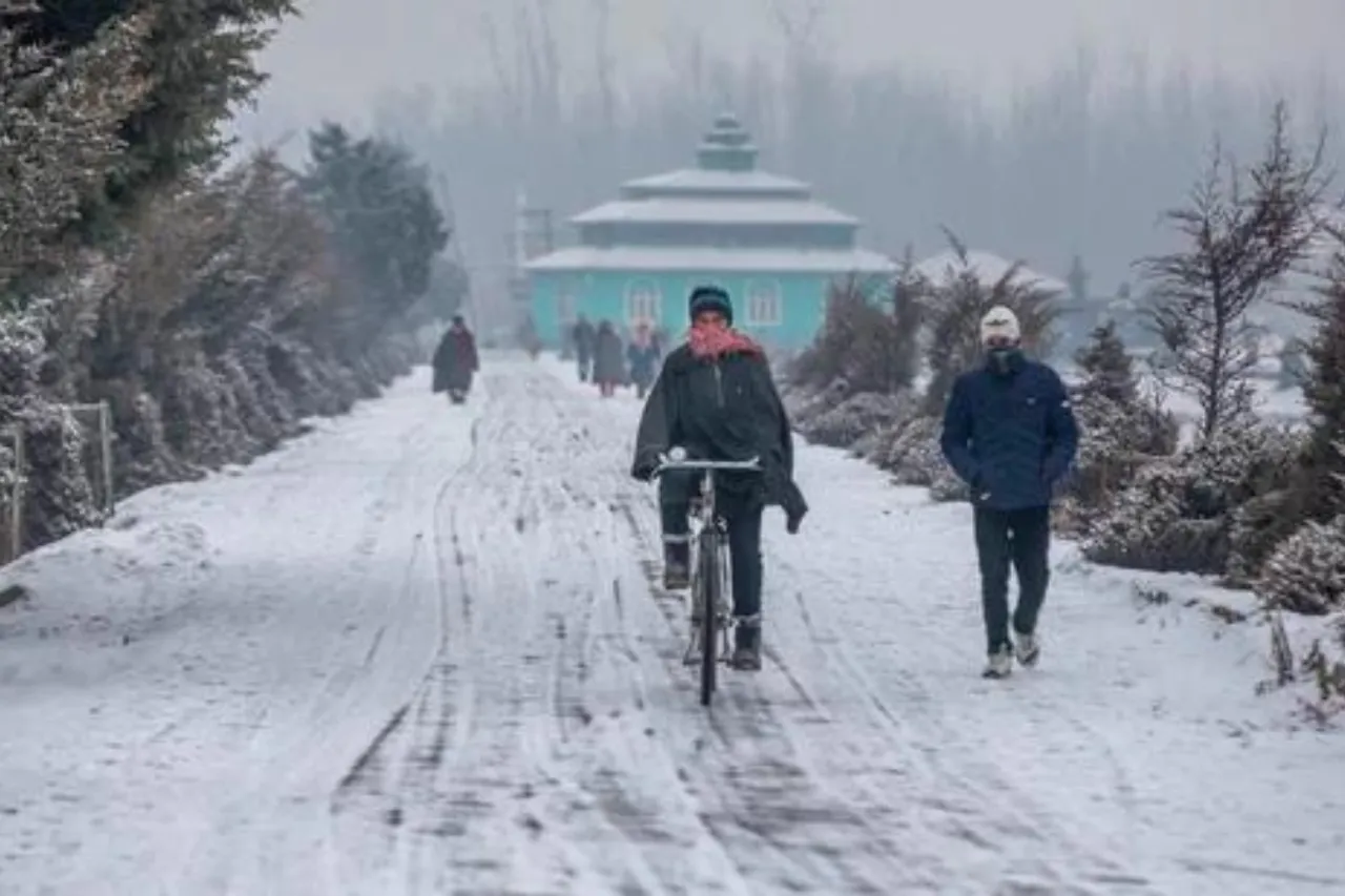 Snowfall Update