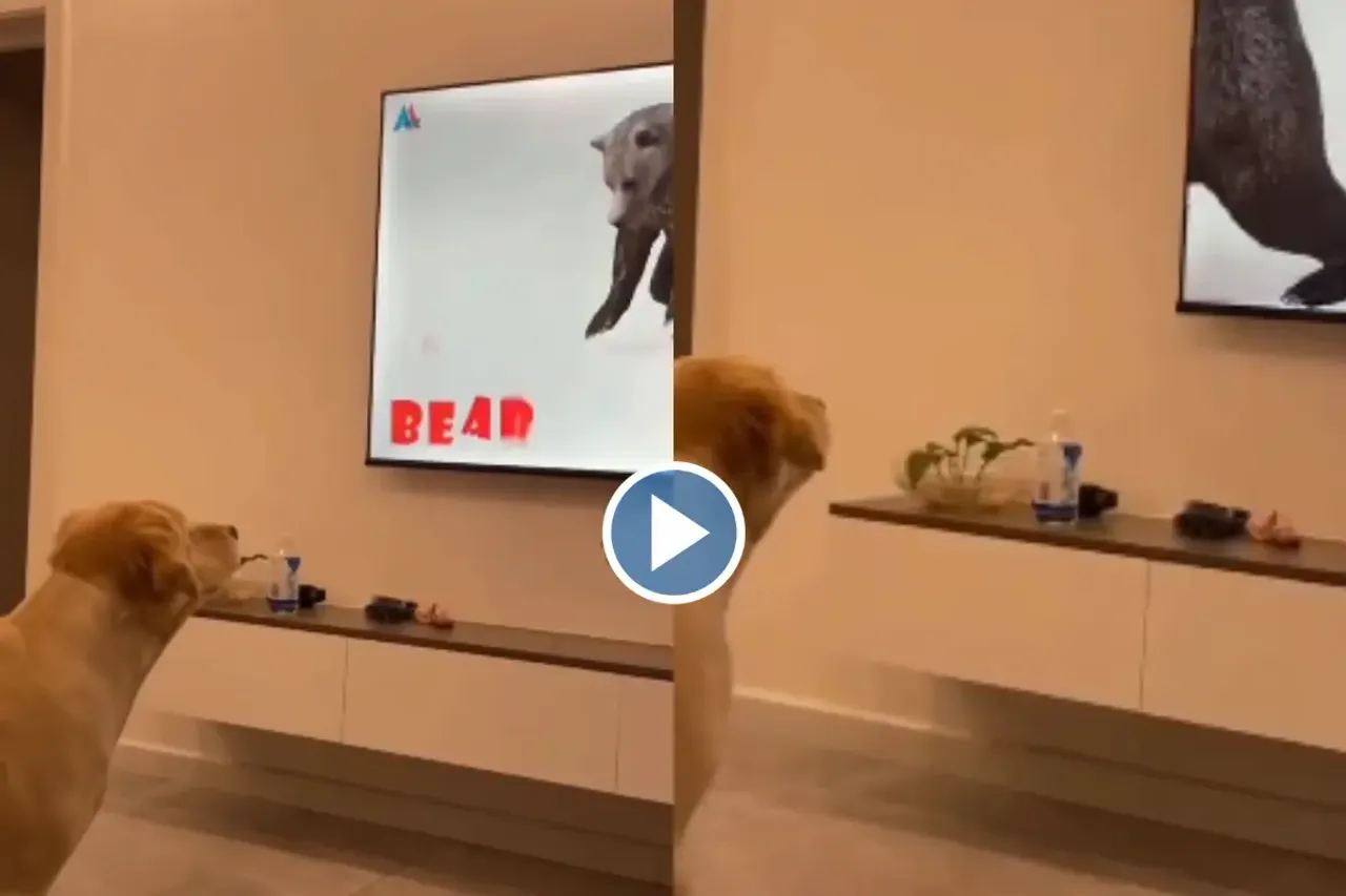 Viral video