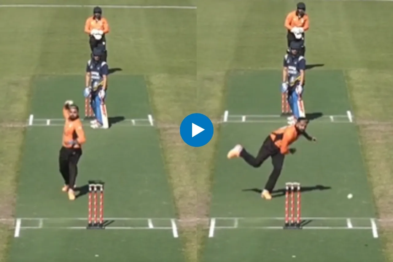 Cricket Viral Video