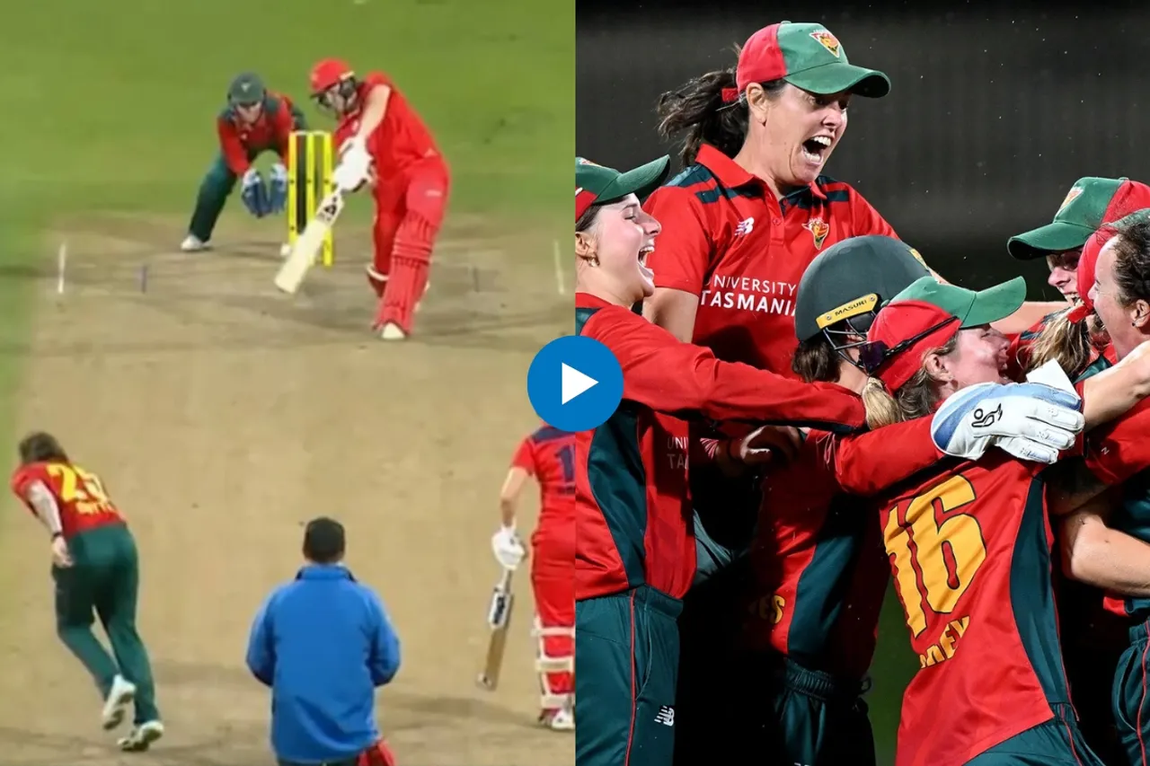 Cricket Viral Video
