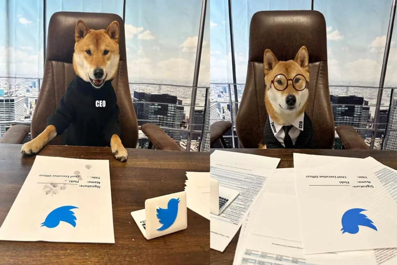 Musk names his pet Floki as new CEO of Twitter, pokes fun at Parag Agrawal