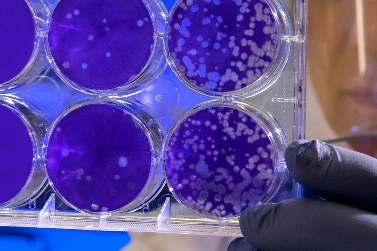 Stem Cell