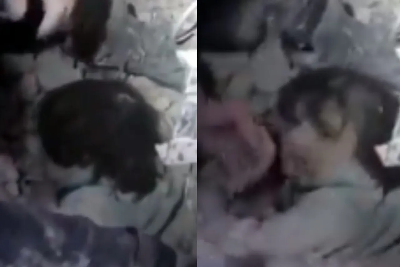 Turkey - Syria Earthquake