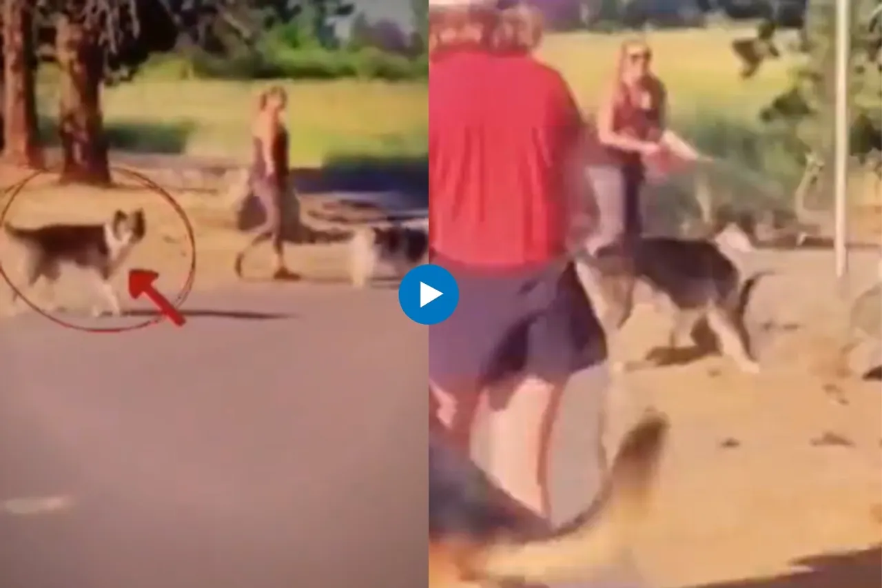 Viral Video