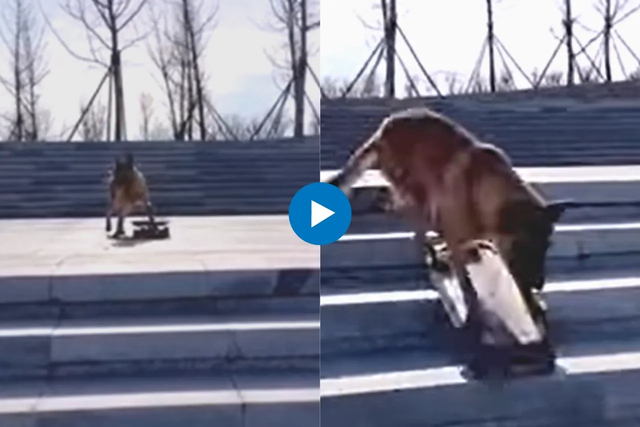 Viral Video