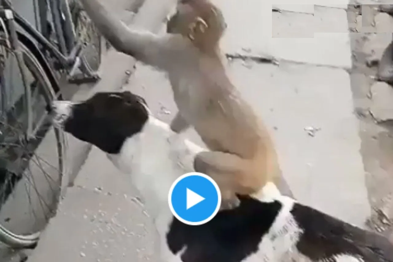 Viral Video