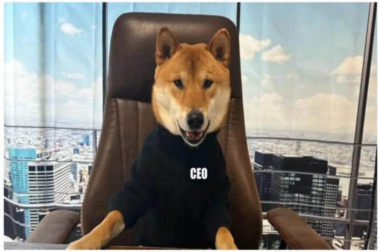 Dogecoin