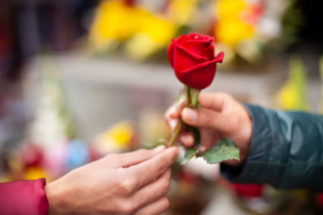 Rose Day 2023