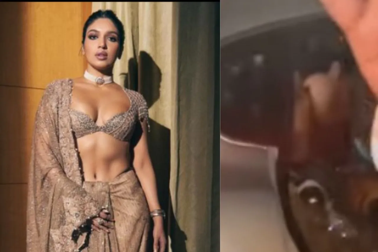 Bhumi Pednekar