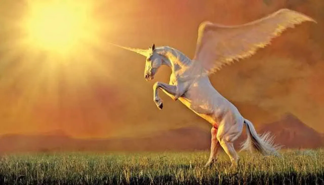 Unicorn